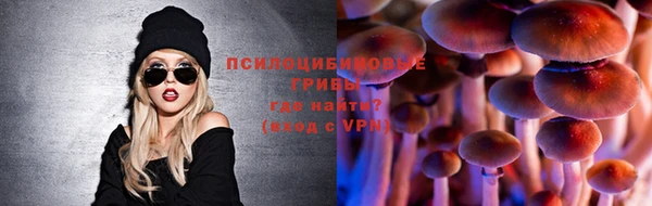 прущие грибы Каменск-Шахтинский