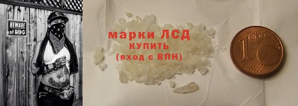 прущие грибы Каменск-Шахтинский