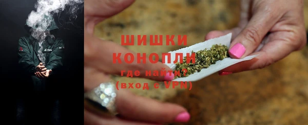 прущие грибы Каменск-Шахтинский