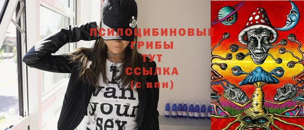 прущие грибы Каменск-Шахтинский