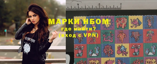 прущие грибы Каменск-Шахтинский