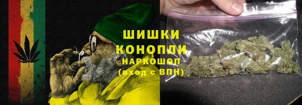 прущие грибы Каменск-Шахтинский