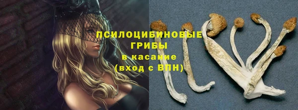 ALPHA-PVP Каменка